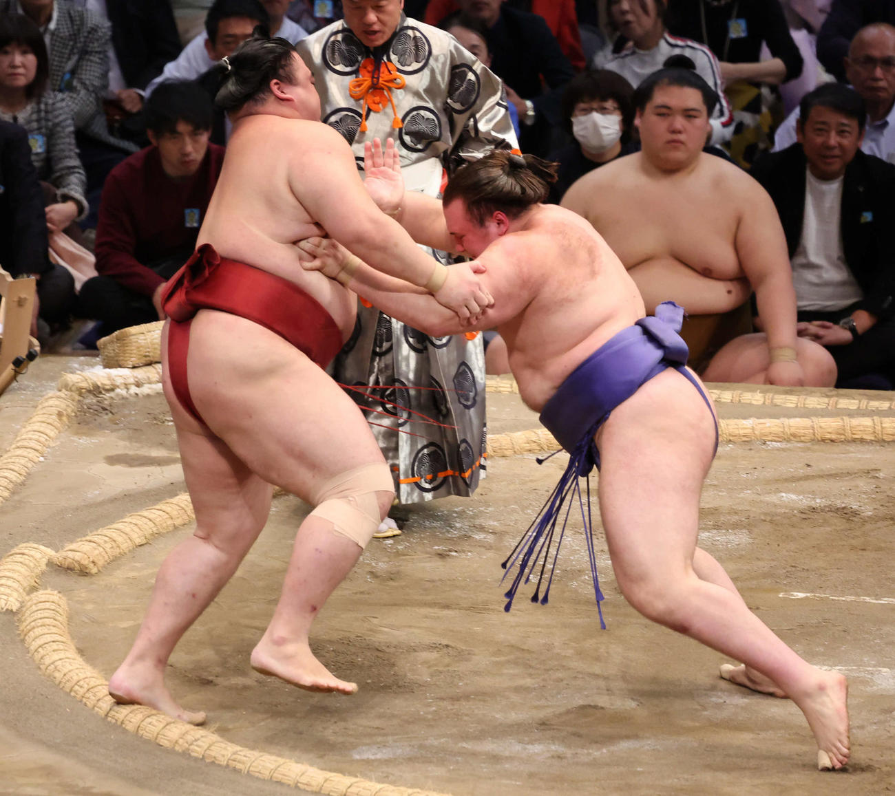 安青錦は押し出しで隆の勝を下し4連勝とした（撮影・西尾就之）