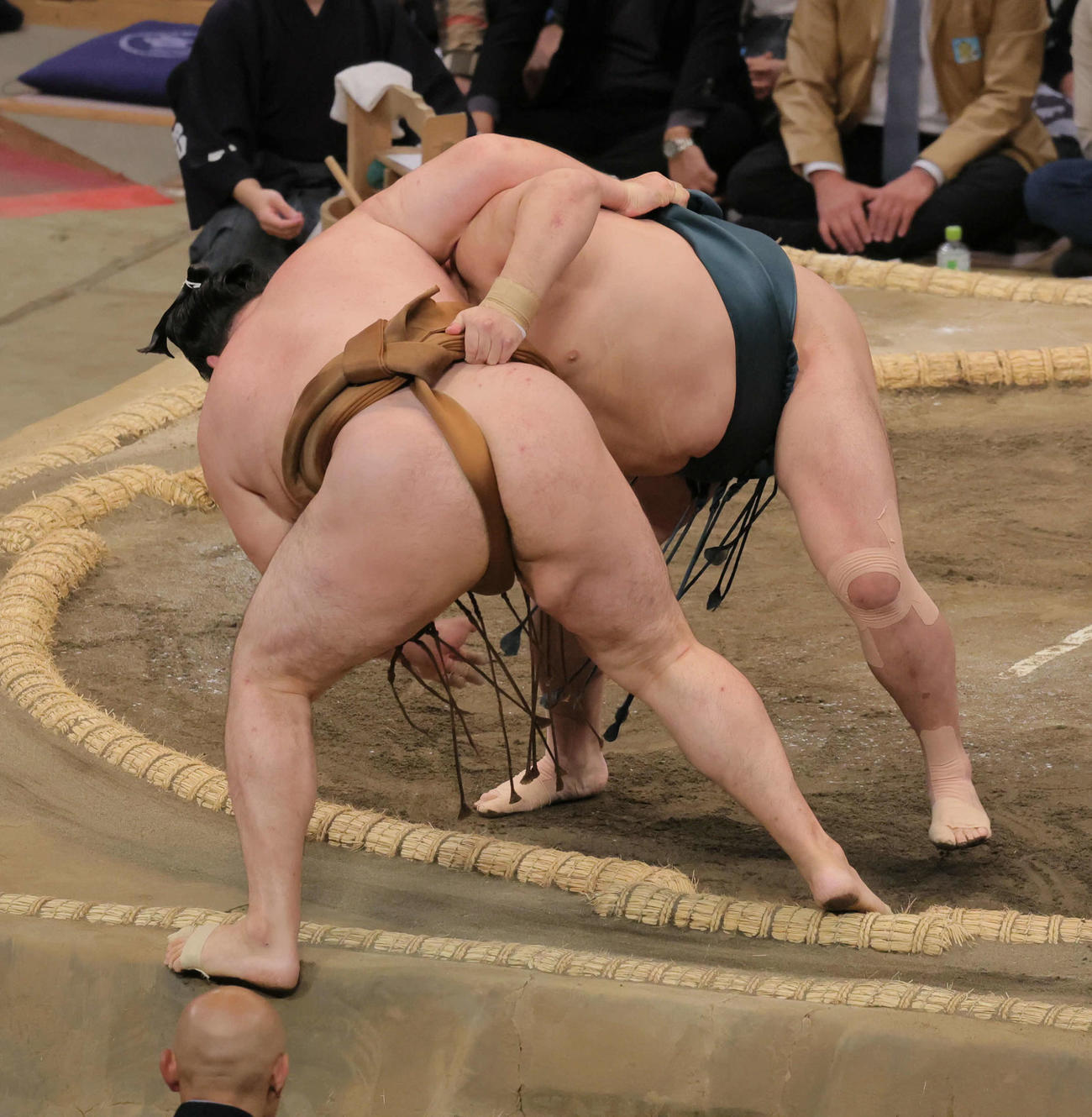 佐田の海（右）は竜電を寄り切りで破る（撮影・宮崎幸一）