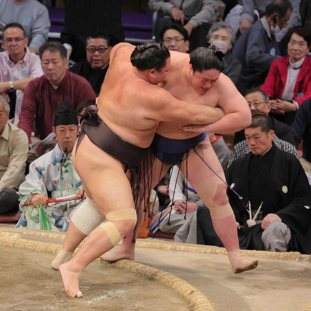 朝乃山（左）は藤青雲を寄り切りで破る（撮影・宮崎幸一）