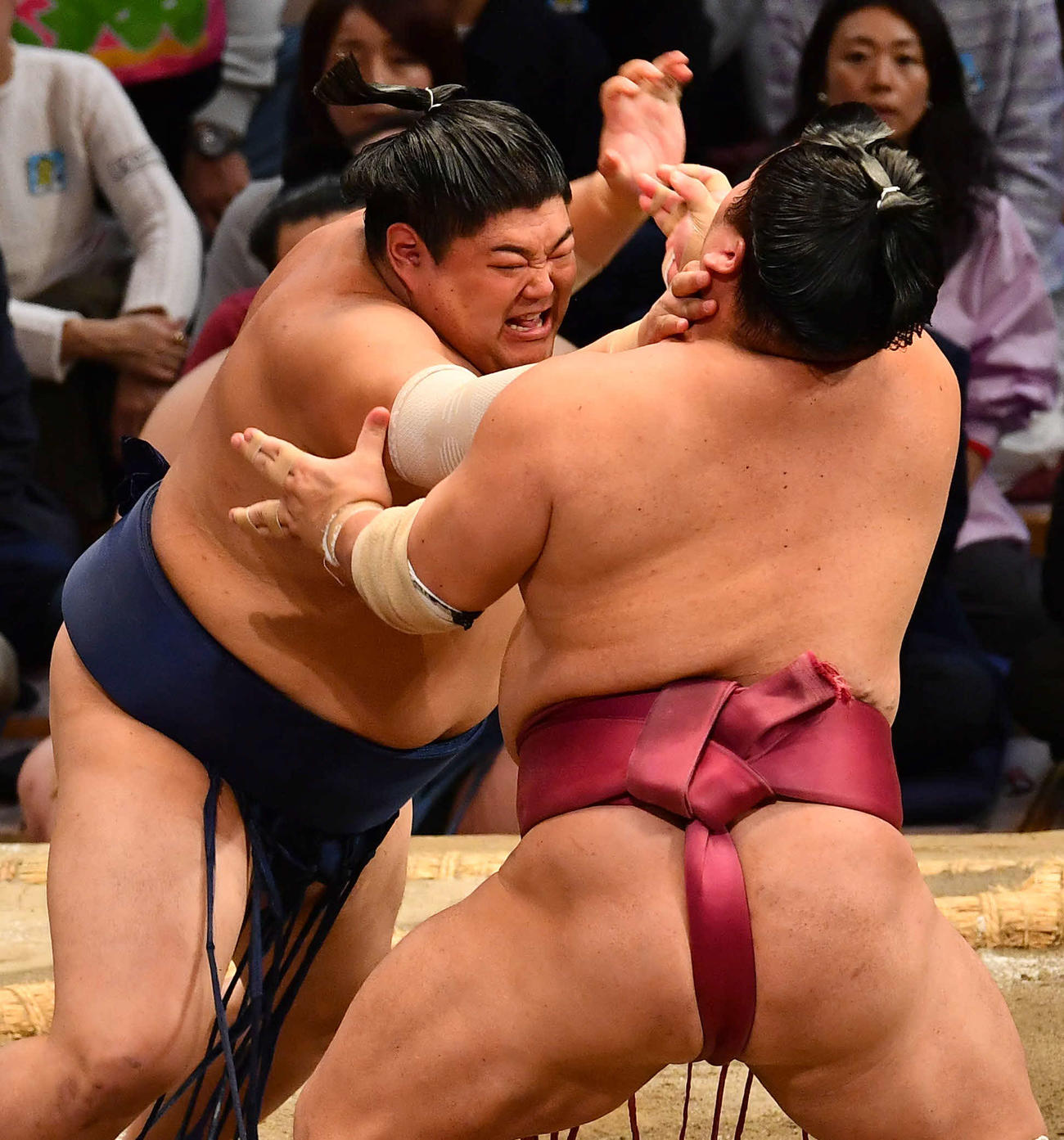 大栄翔（右）を攻める阿炎（撮影・岩下翔太）