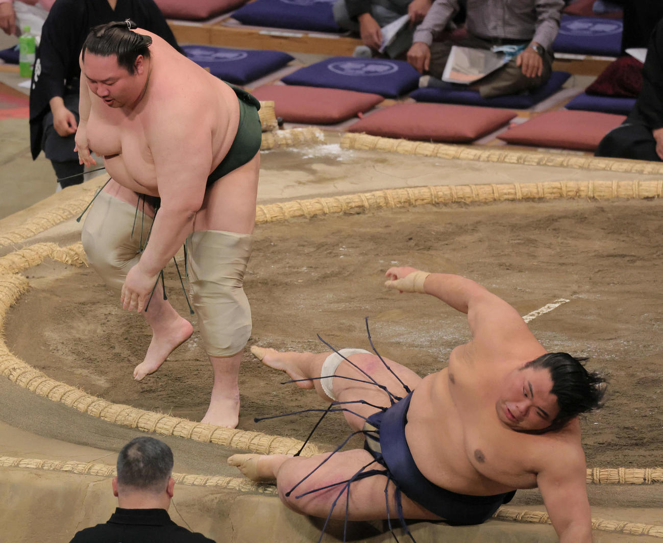 白鷹山（左）は藤凌駕を押し倒しで破る（撮影・宮崎幸一）