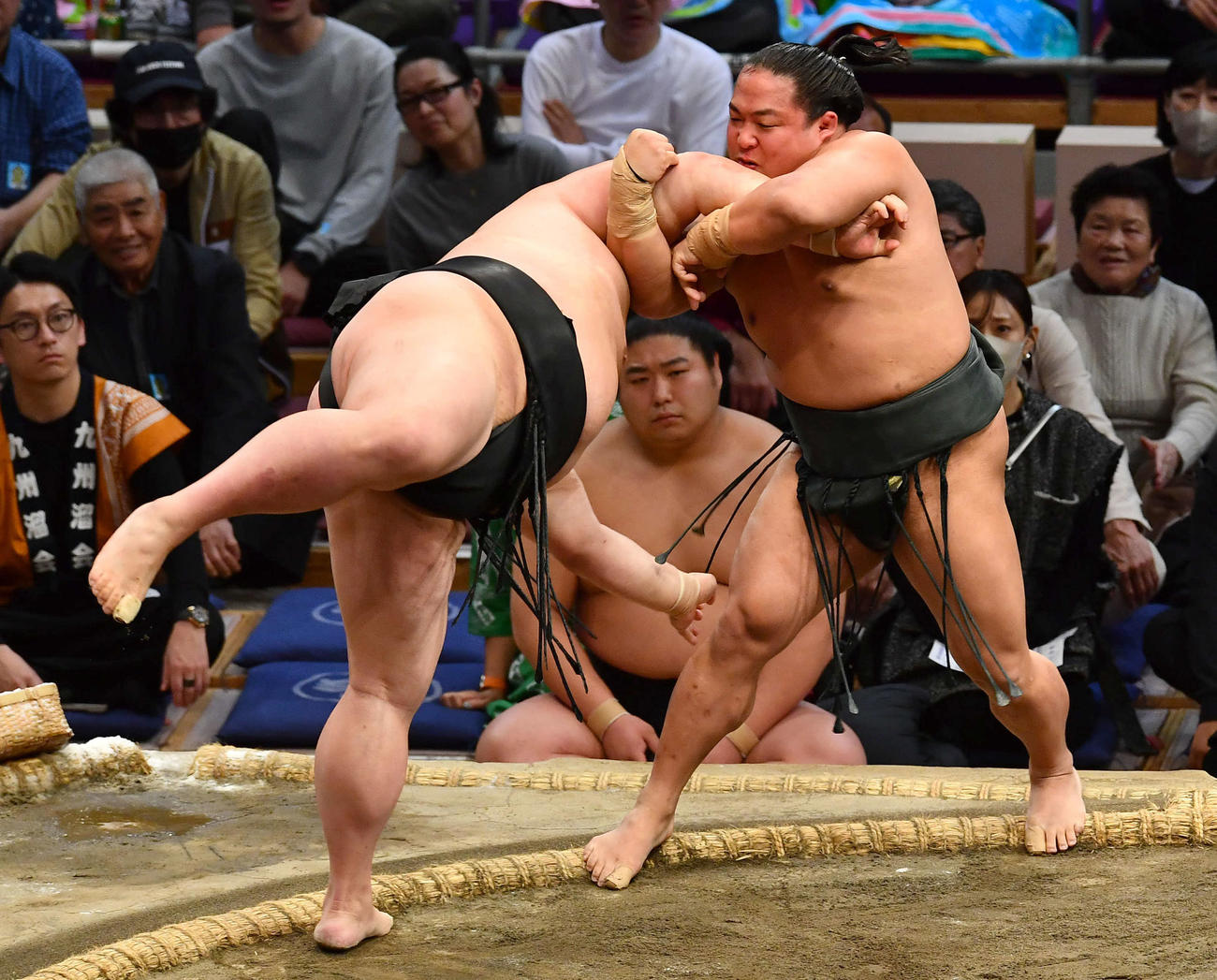 翠富士（右）は正代を網打ちで破る（撮影・岩下翔太）
