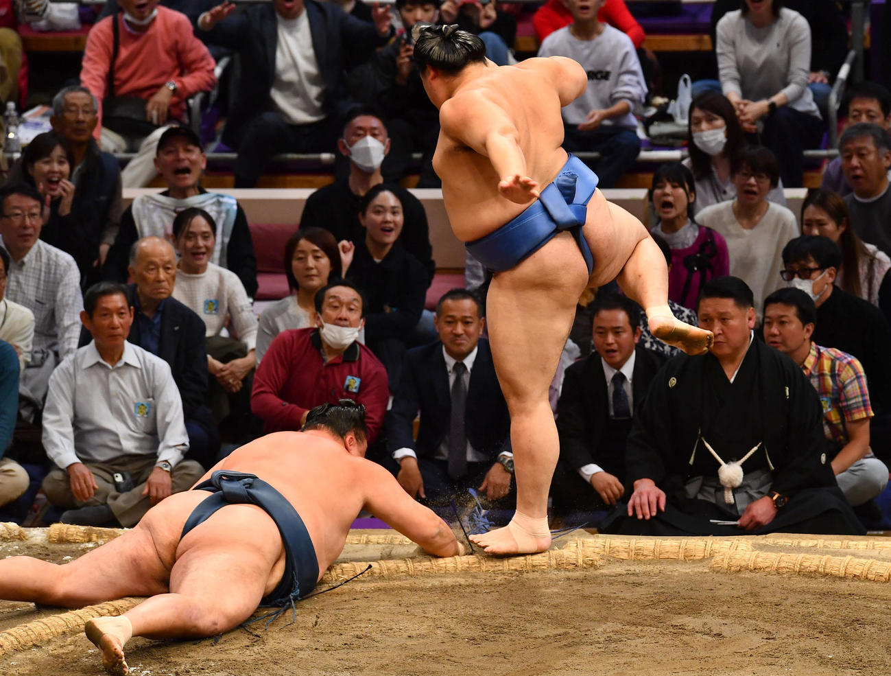 玉鷲（左）をはたき込みで下した大の里（撮影・岩下翔太）