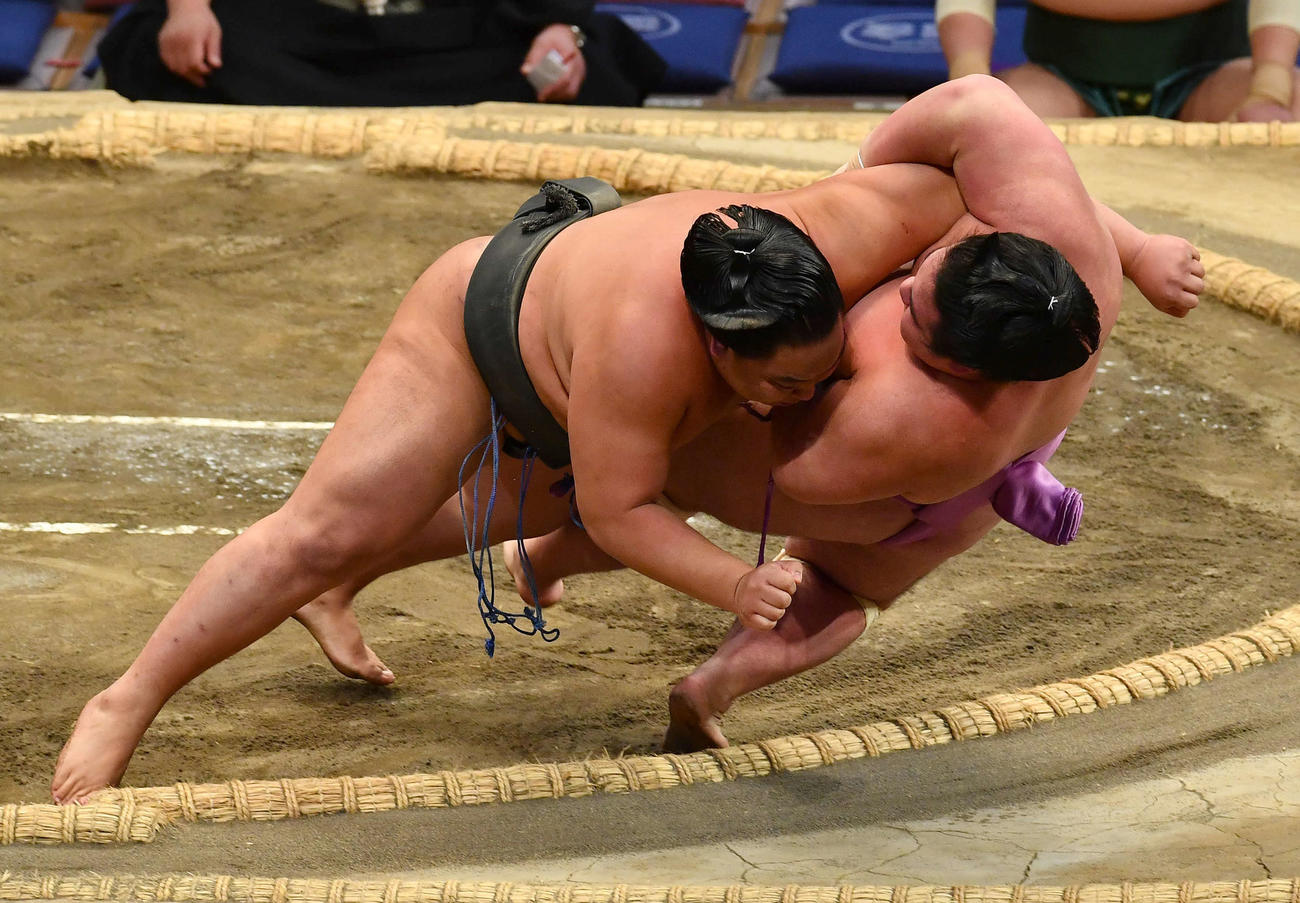 出羽ノ龍（左）は日向丸を寄り倒しで下す（撮影・岩下翔太）
