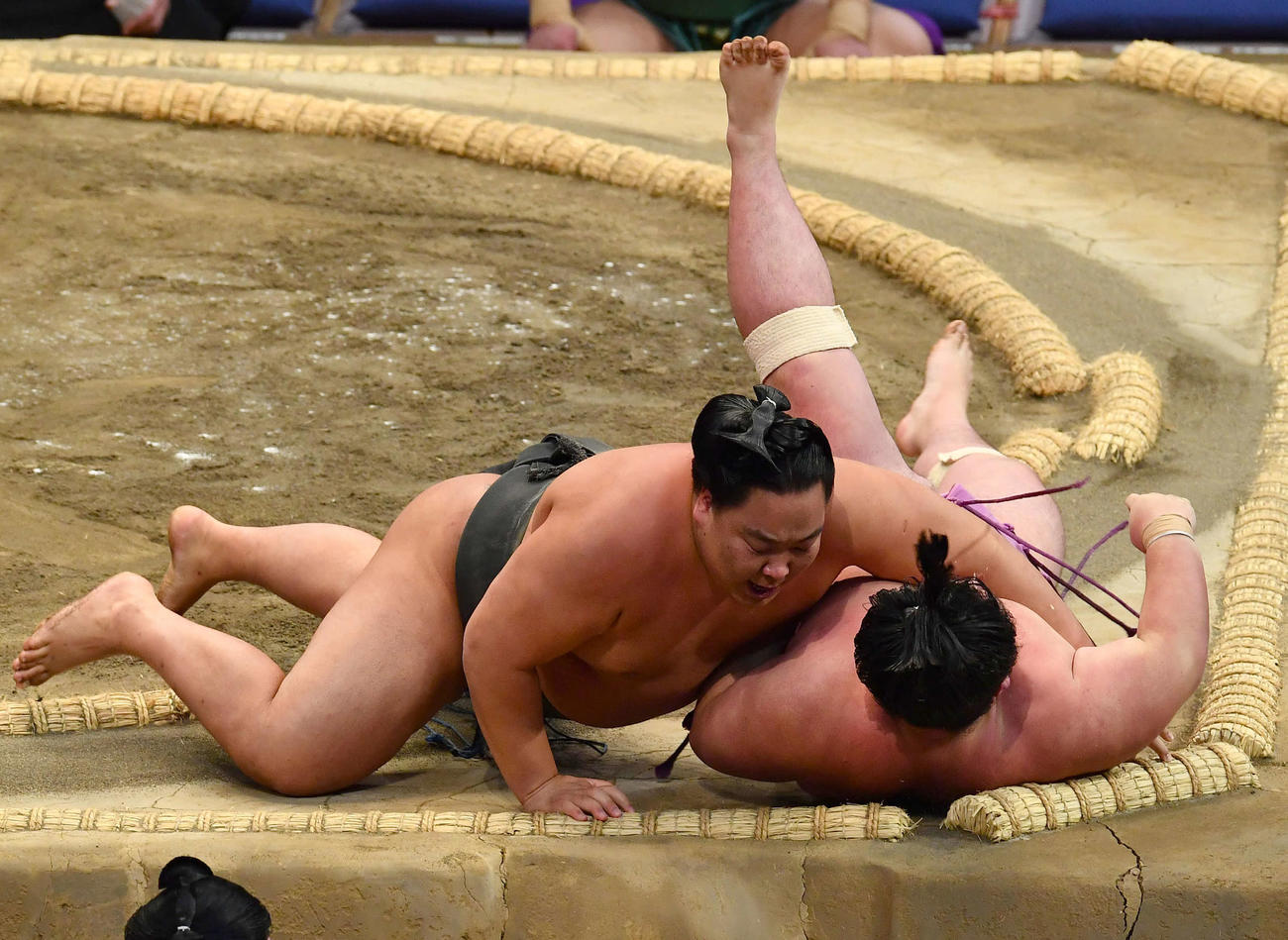 出羽ノ龍（左）は日向丸を寄り倒しで下す（撮影・岩下翔太）