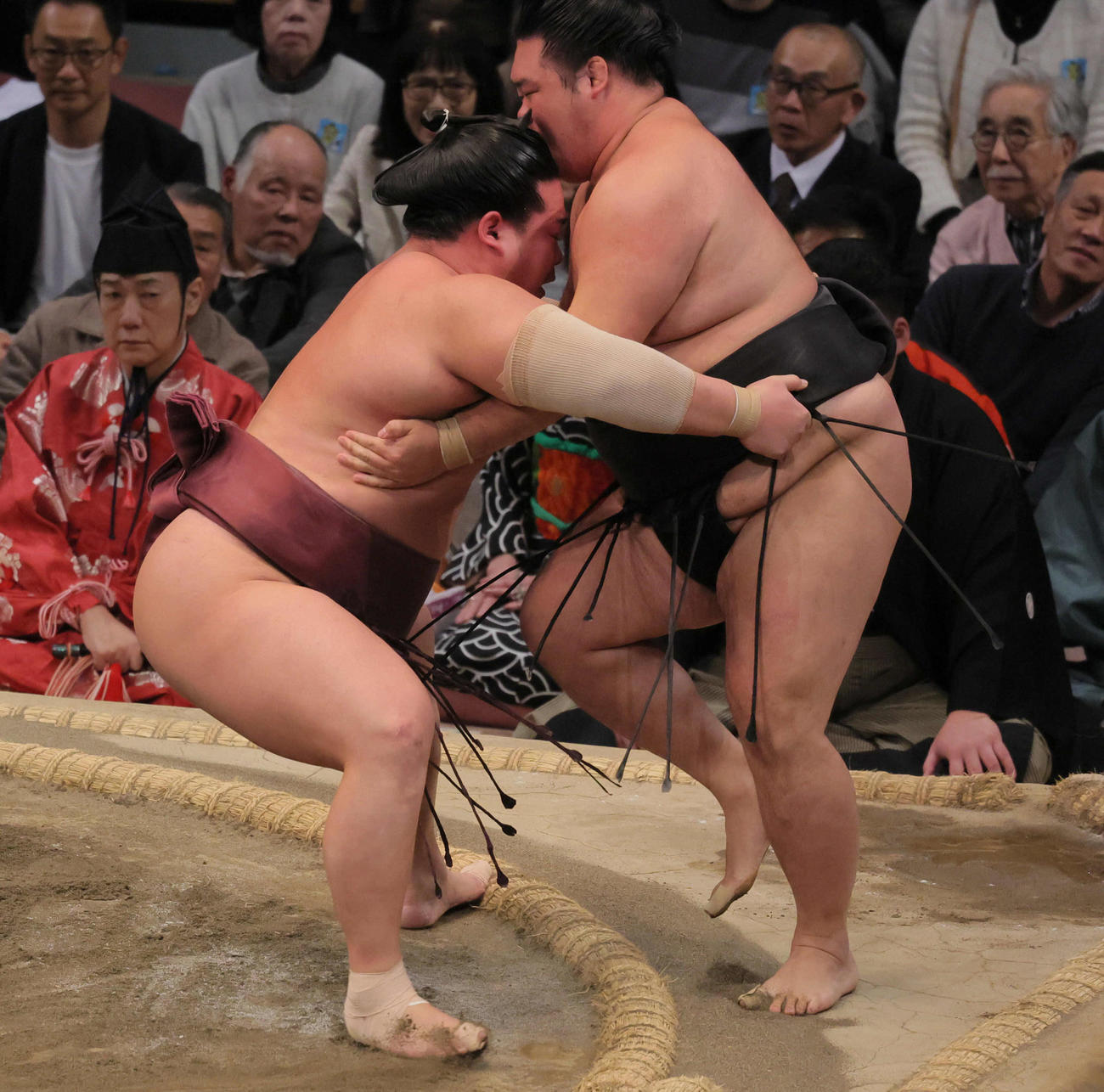 錦富士（左）は明生を寄り切りで破る（撮影・宮崎幸一）