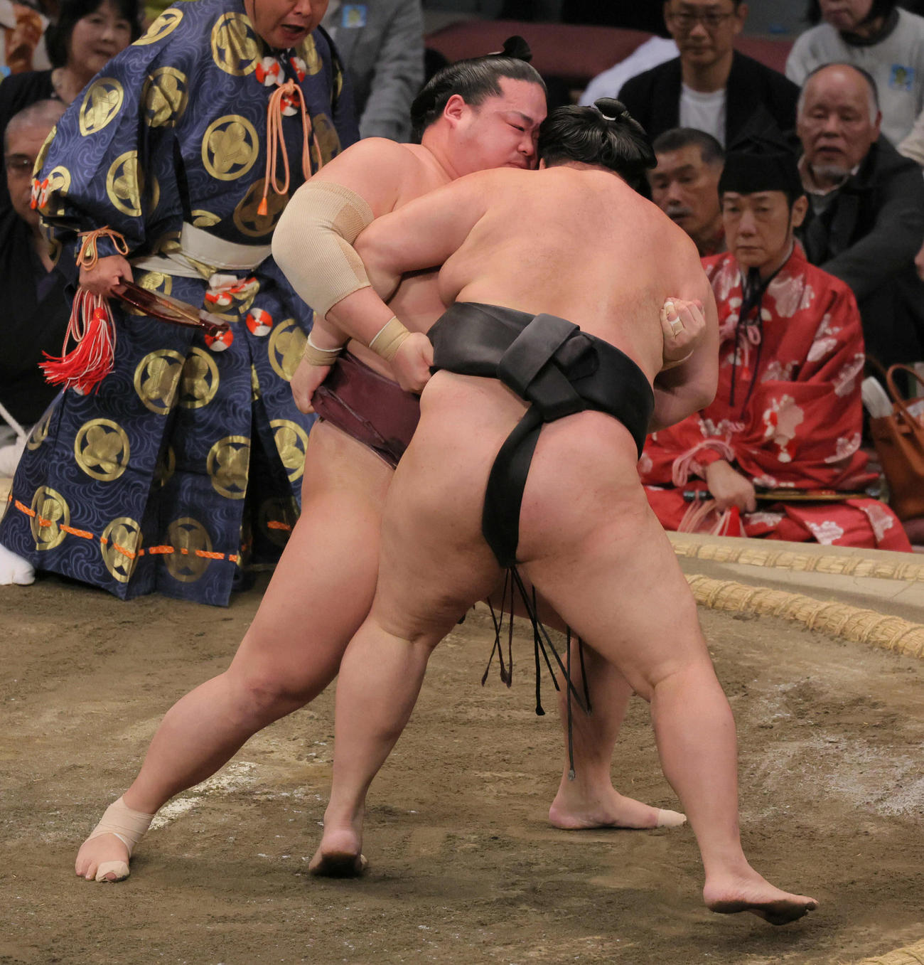 錦富士（左）は明生を寄り切りで破る（撮影・宮崎幸一）