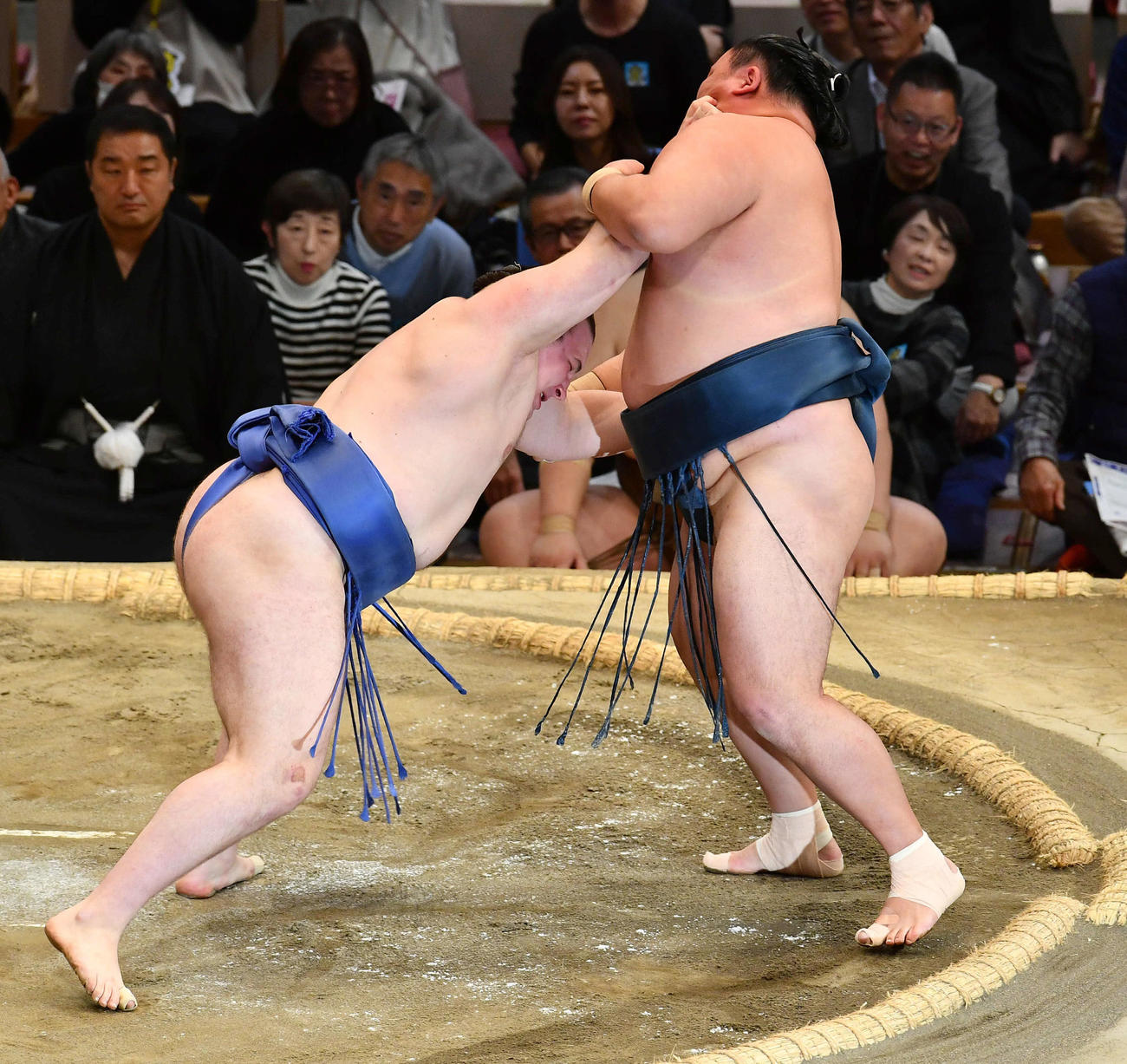 玉鷲（右）を攻める安青錦（撮影・岩下翔太）
