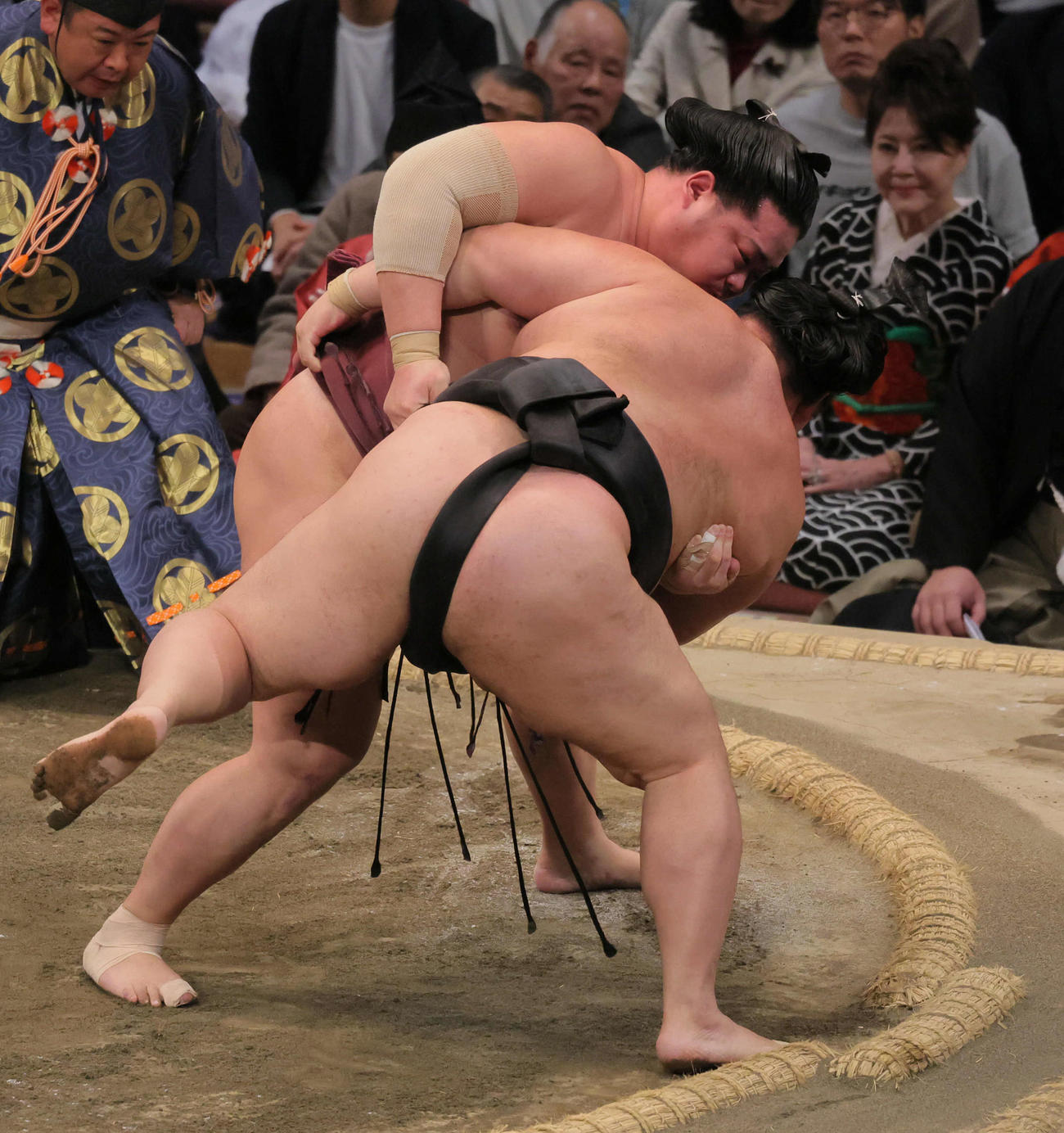 錦富士（左）は明生を寄り切りで破る（撮影・宮崎幸一）