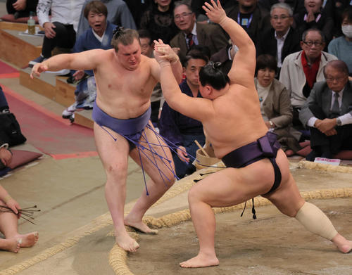 前日初金星の義ノ富士、1敗安青錦を破る NHK解説の元大関貴景勝の湊川