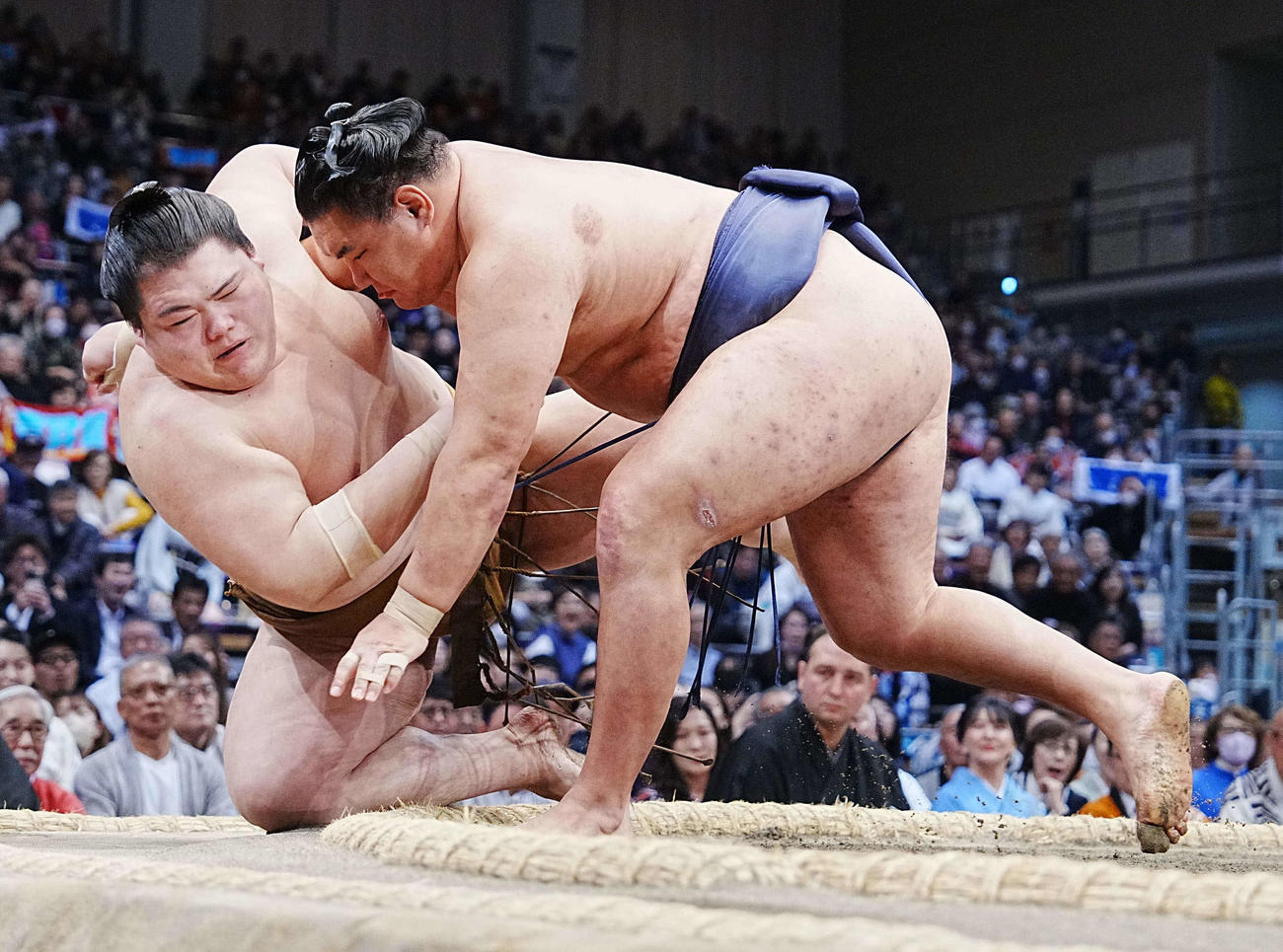 豊昇龍（右）は王鵬を寄り倒しで下す（撮影・小沢裕）