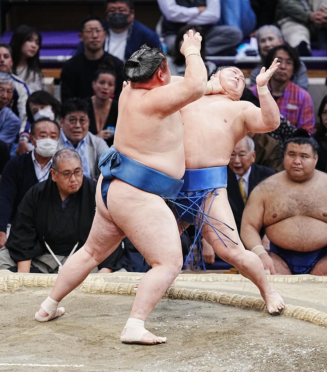 玉鷲（左）は若隆景を押し出しで破る（撮影・小沢裕）