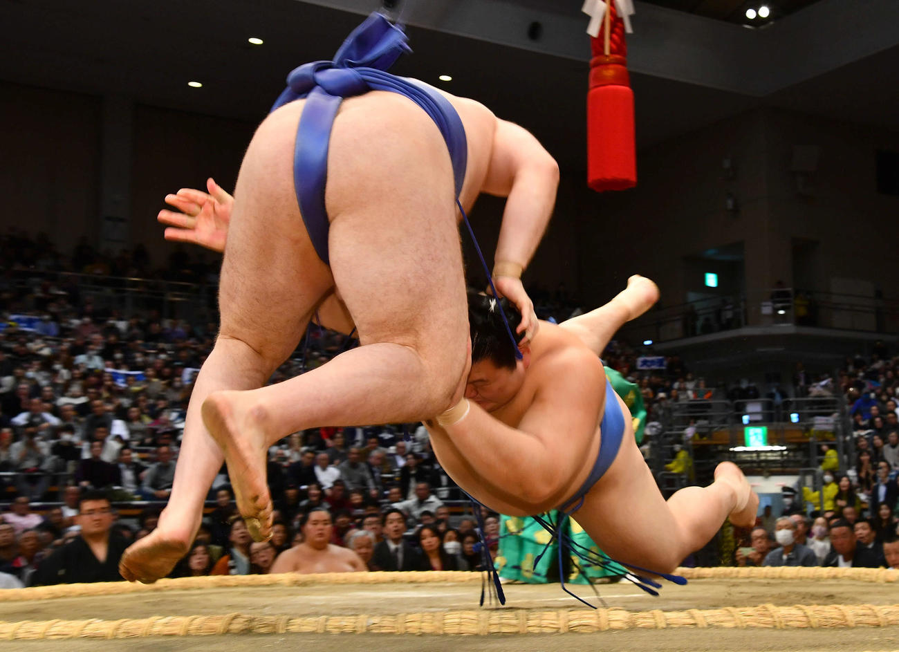 大の里（右）は安青錦を寄り切りで下す（撮影・岩下翔太）