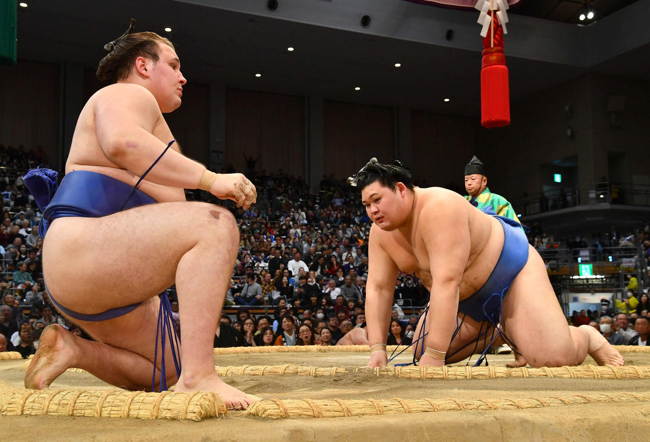 寄り切りで安青錦（左）を下した大の里（撮影・岩下翔太）