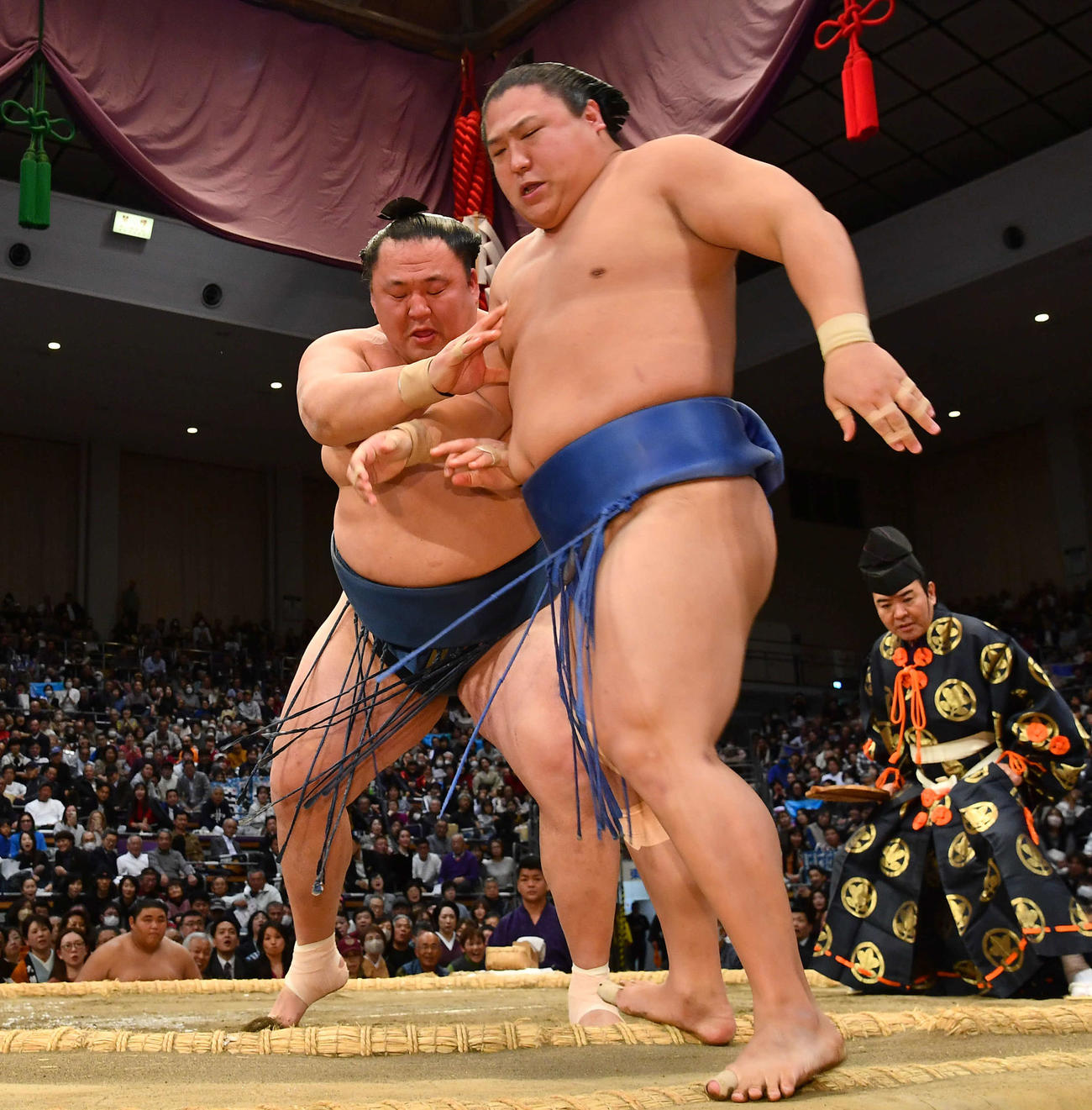 玉鷲（左）は若隆景を押し出しで破る（撮影・岩下翔太）