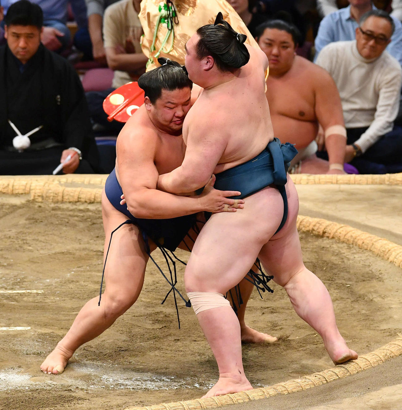 朝白龍（左）は白熊を寄り切りで下す（撮影・岩下翔太）