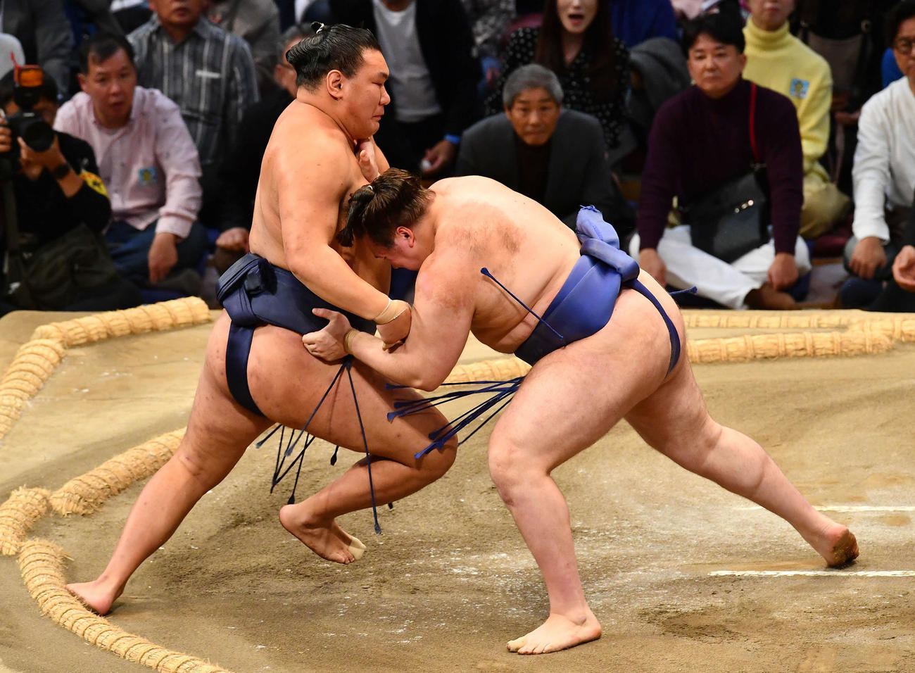 豊昇龍（左）を攻める安青錦（撮影・岩下翔太）