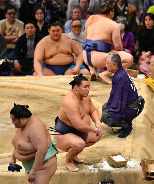 豊昇龍が危険な行為、土俵に落ちる際に相手の腕離さず 安青錦にまたも