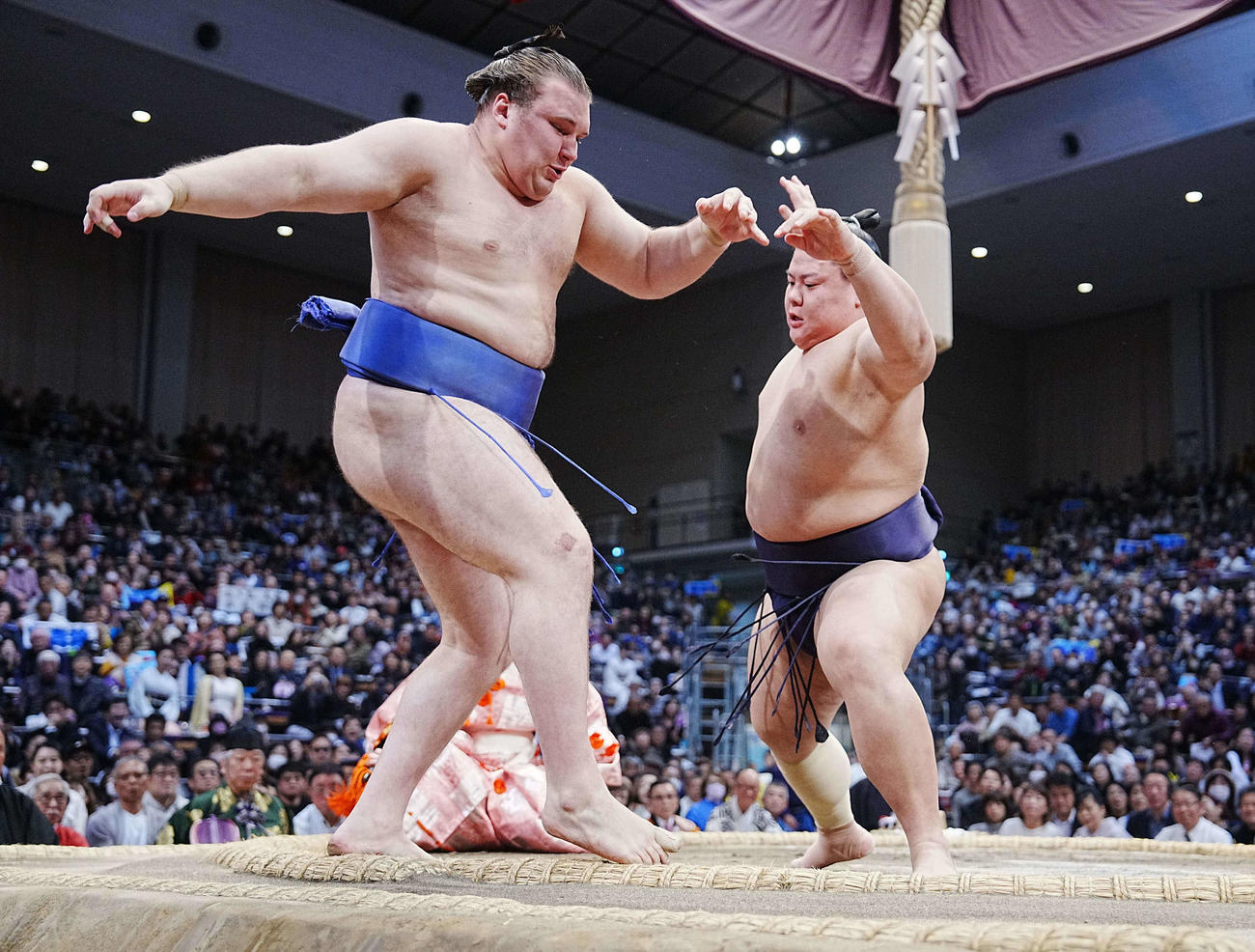 2025年11月19日　大相撲九州場所　11日目　義ノ富士（右）は安青錦を突き出しで破る
