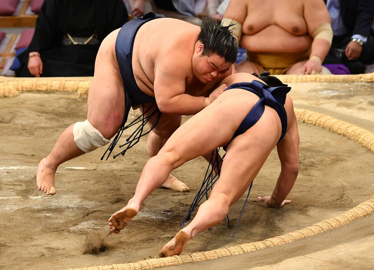 押し倒しで羽出山（右）を破り、十両優勝を決めた藤凌駕（撮影・岩下翔太）