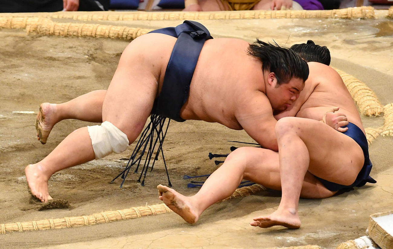 押し倒しで羽出山（右）を破り、十両優勝を決めた藤凌駕（撮影・岩下翔太）