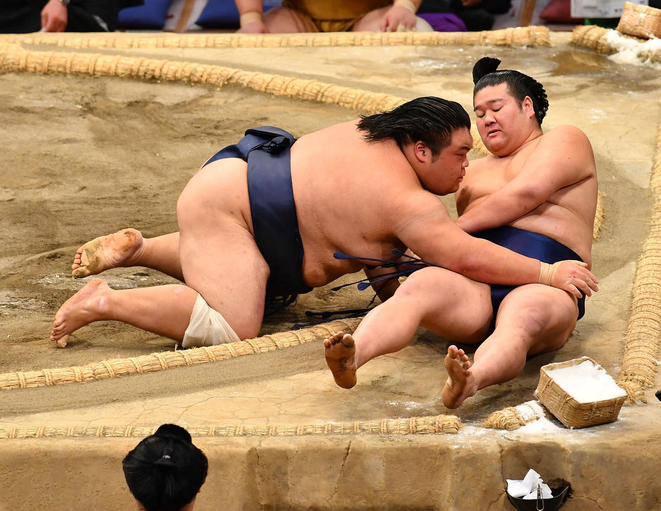 押し倒しで羽出山（右）を破り、十両優勝を決めた藤凌駕（撮影・岩下翔太）