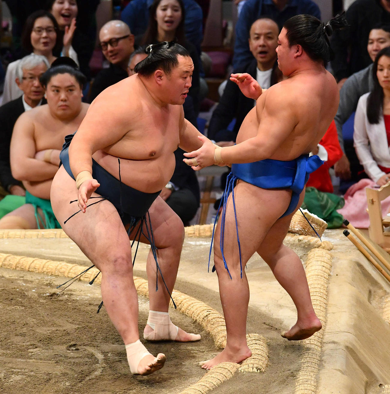 玉鷲（左）は藤ノ川を押し出しで下す（撮影・岩下翔太）