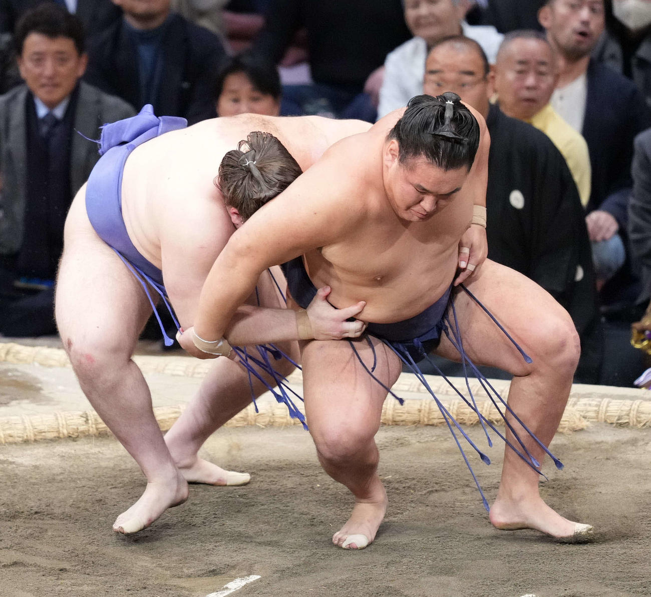 優勝決定戦で豊昇龍（右）の背後にまわり攻める安青錦（撮影・小沢裕）