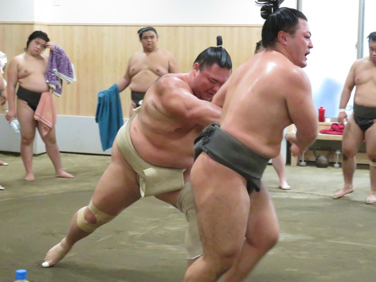 相撲を取る稽古を再開し、長内（手前右）を押し出した朝乃山（同左）