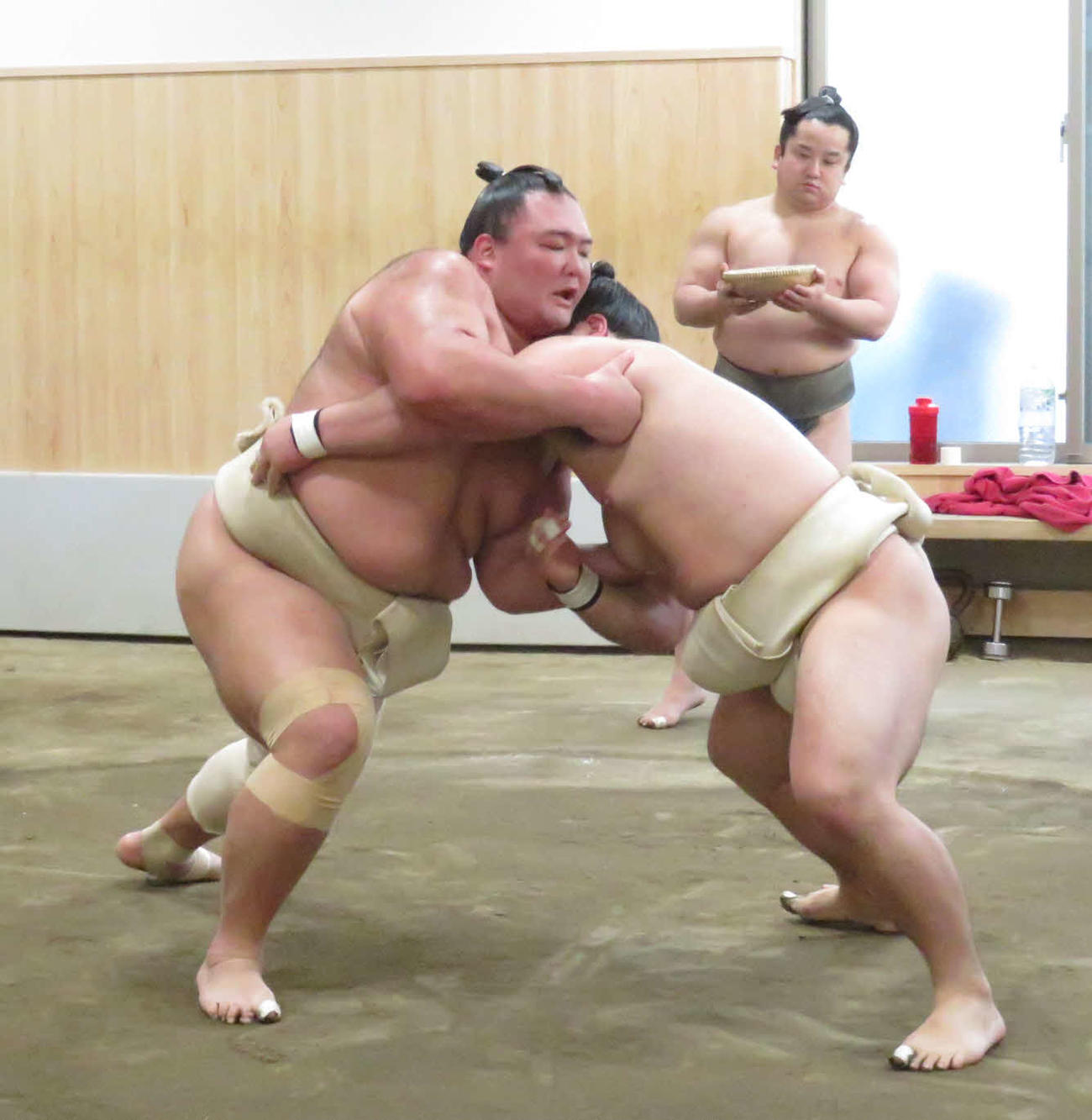 相撲を取る稽古を再開し、朝翠龍（手前右）の攻めを組み止める朝乃山（同左）