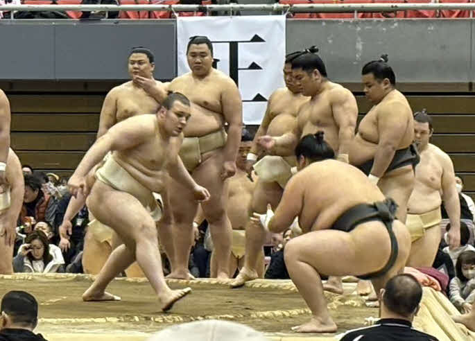 ぶつかり稽古で胸を出す安青錦（左）