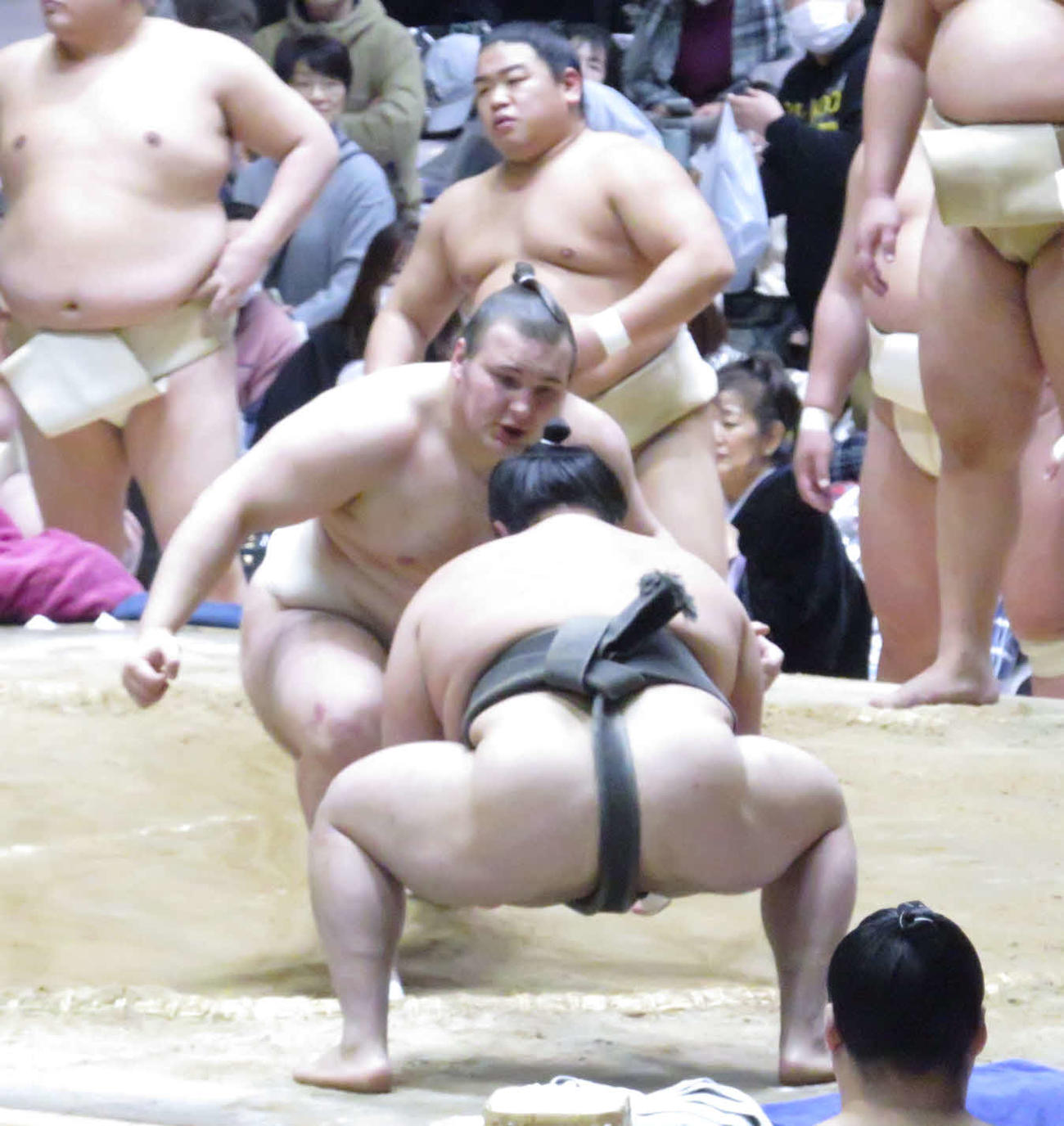東京・町田市で行われた巡業の朝稽古で、若い衆に胸を出す安青錦（中央）