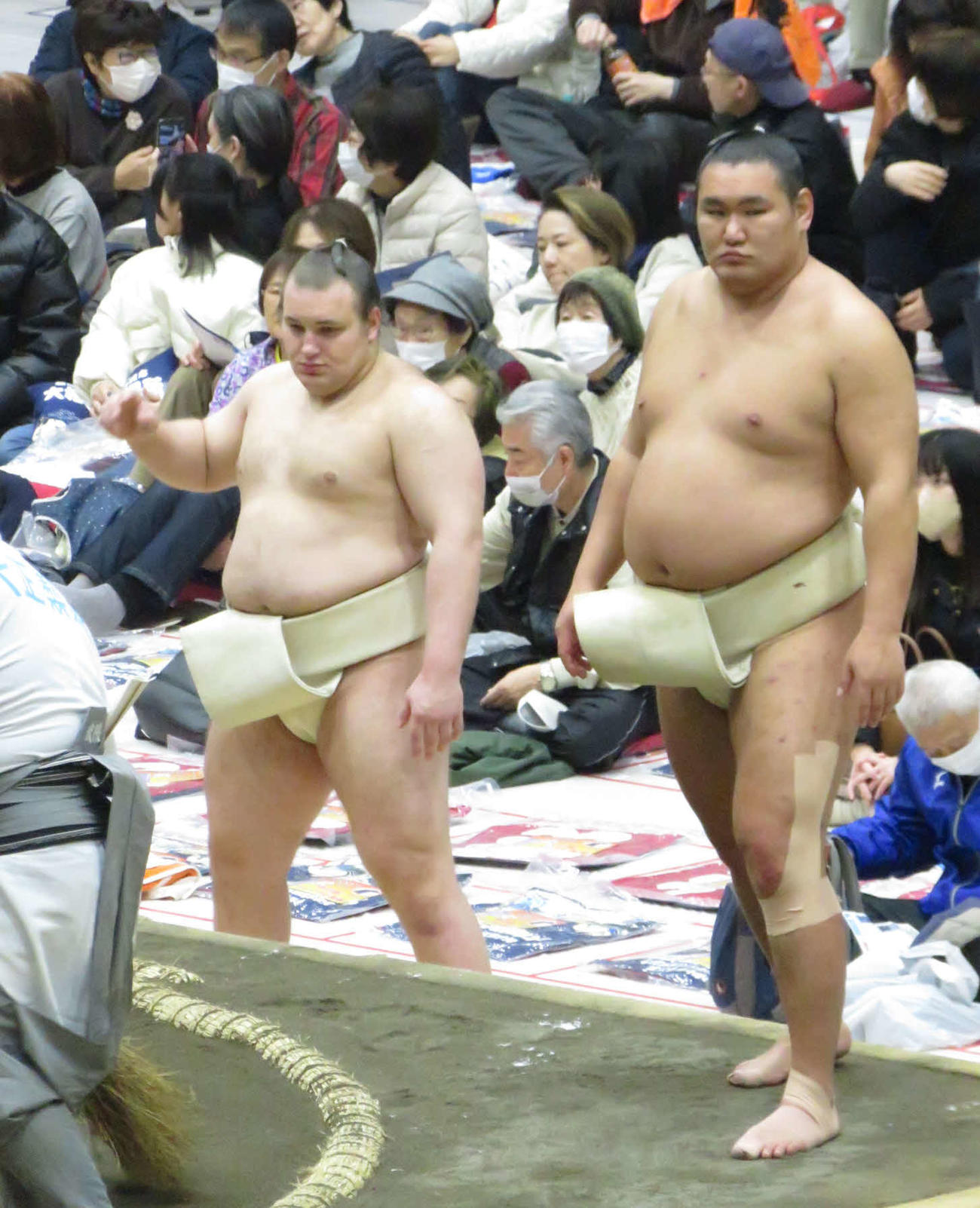 埼玉・新座市で行われた冬巡業最終日に、左膝にテーピングを施して朝稽古に参加した豊昇龍（右）。左は安青錦