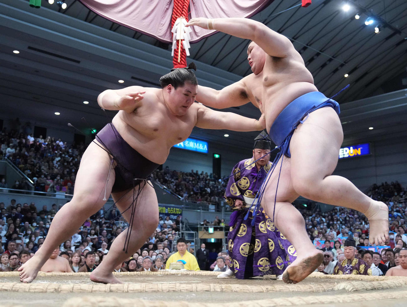 春場所13日目、大の里を押し出す王鵬（左）（2025年3月撮影）