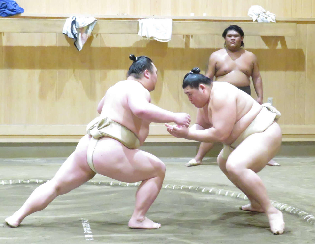 白熊（中央左）に胸を借りて、立ち合いの確認を繰り返した大の里