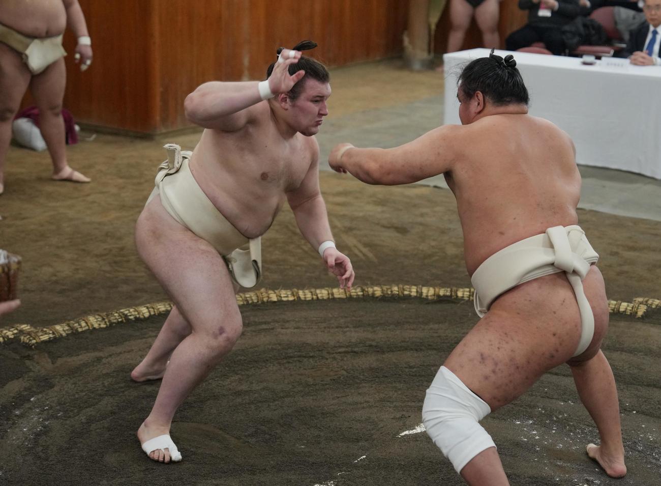 稽古総見で汗を流す安青錦（左）（代表撮影）