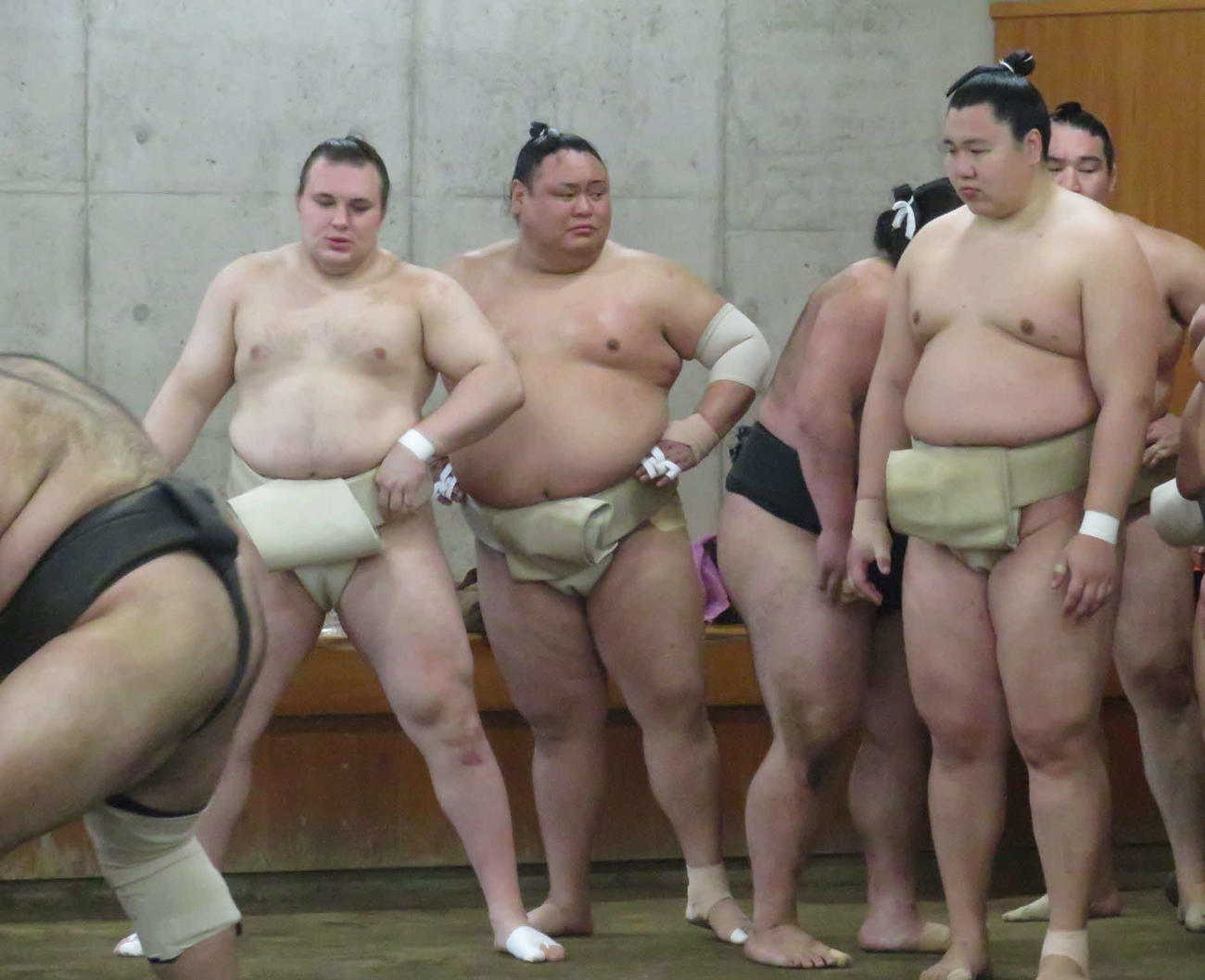 時津風一門の連合稽古に一門外から参加した安青錦（前列左）。前列中央は荒篤山、同右は大青山