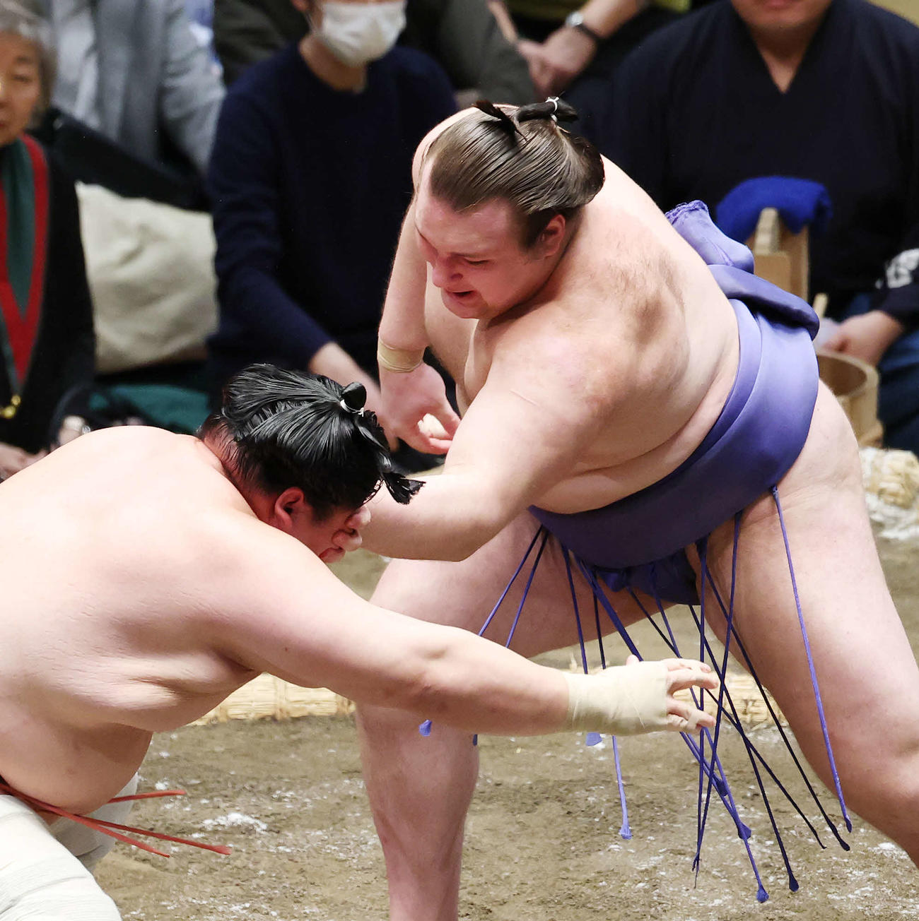 宇良（左）を攻める安青錦（撮影・宮地輝）