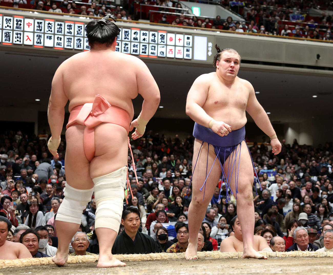 宇良（左）を寄り倒しで破った安青錦（撮影・鈴木正人）