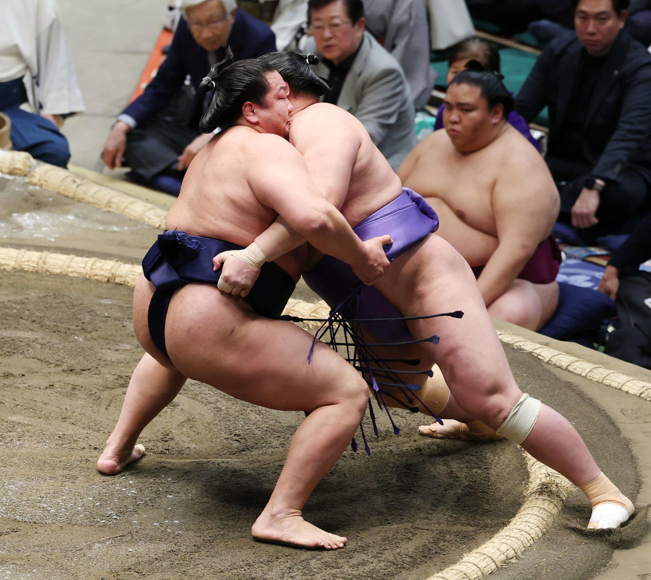 寄り切りで欧勝海（右）を破る朝白龍（撮影・宮地輝）