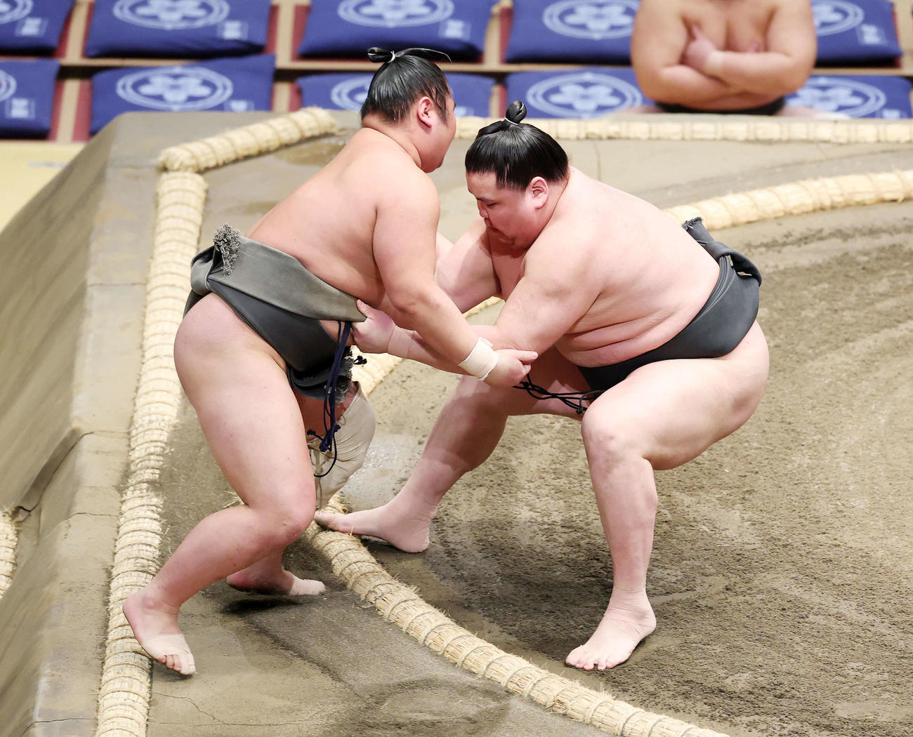 大錦龍（左）を寄り切りで破る旭富士（撮影・鈴木正人）