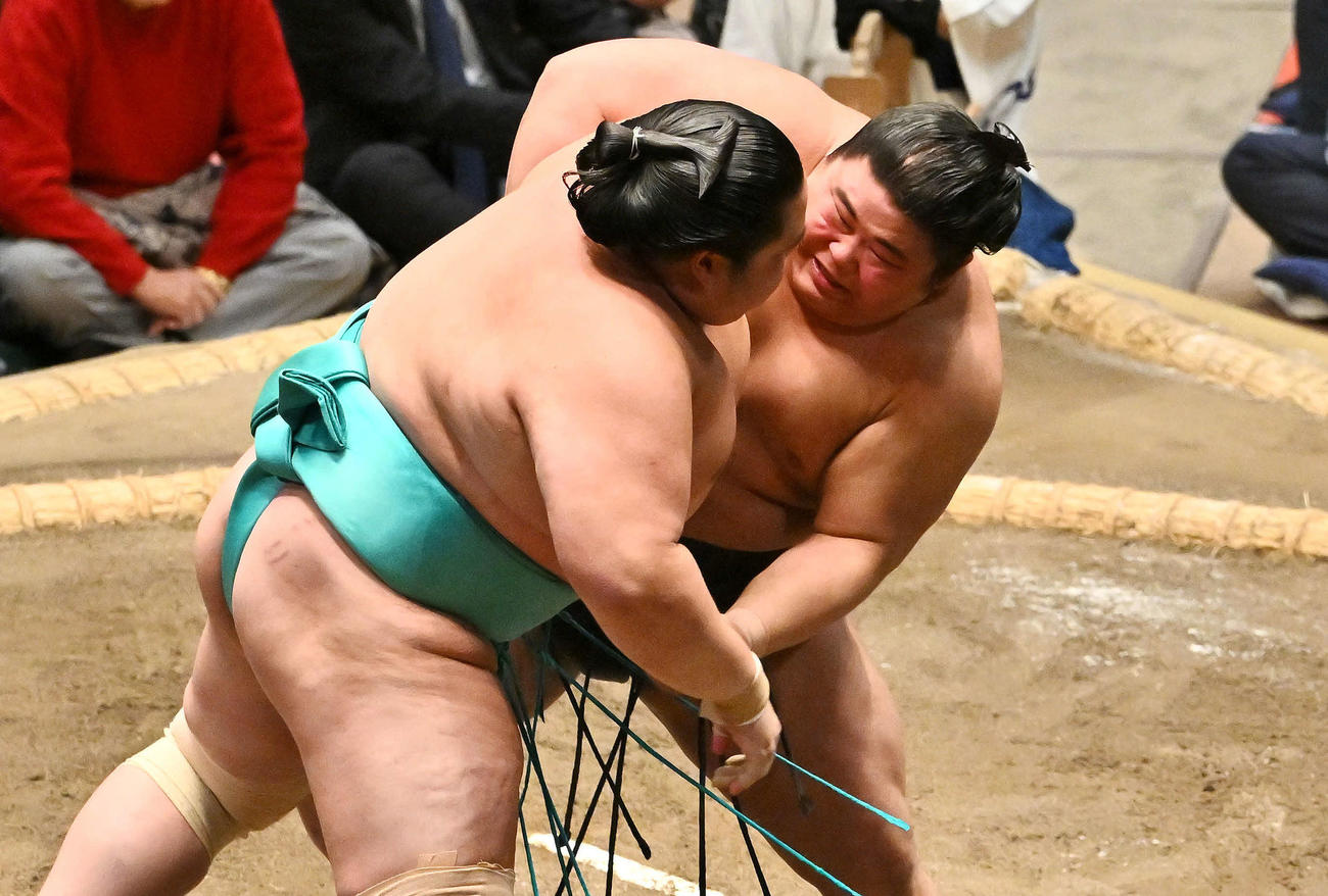 伯乃冨士（右）は琴桜を攻める（撮影・滝沢徹郎）