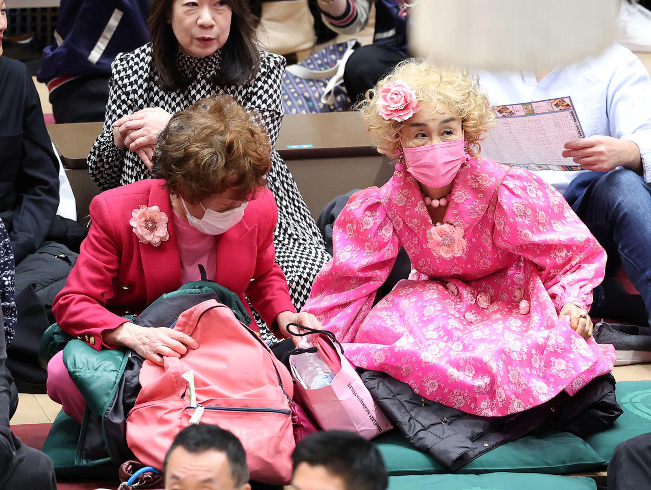 大相撲観戦する林家ぺー（左）パー子夫妻（撮影・鈴木正人）