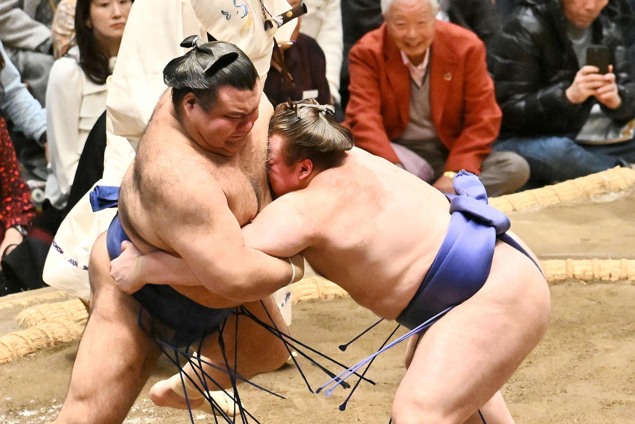 安青錦（右）は高安を攻める（撮影・滝沢徹郎）