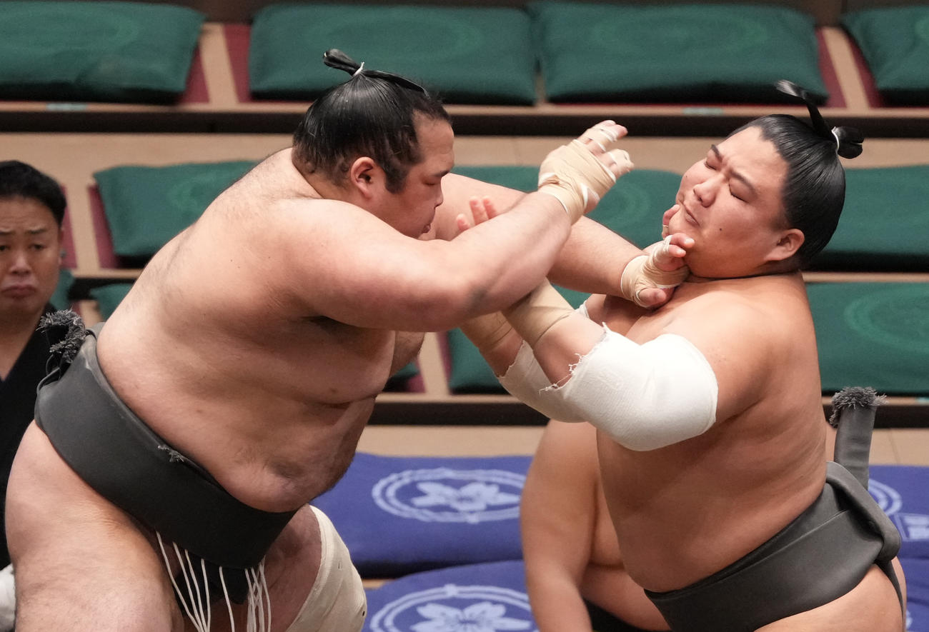 生田目、4連勝で二子山部屋勝ち越し1号も「忘れていた」手術の左膝は「違和感ない」 - 大相撲写真ニュース : 日刊スポーツ