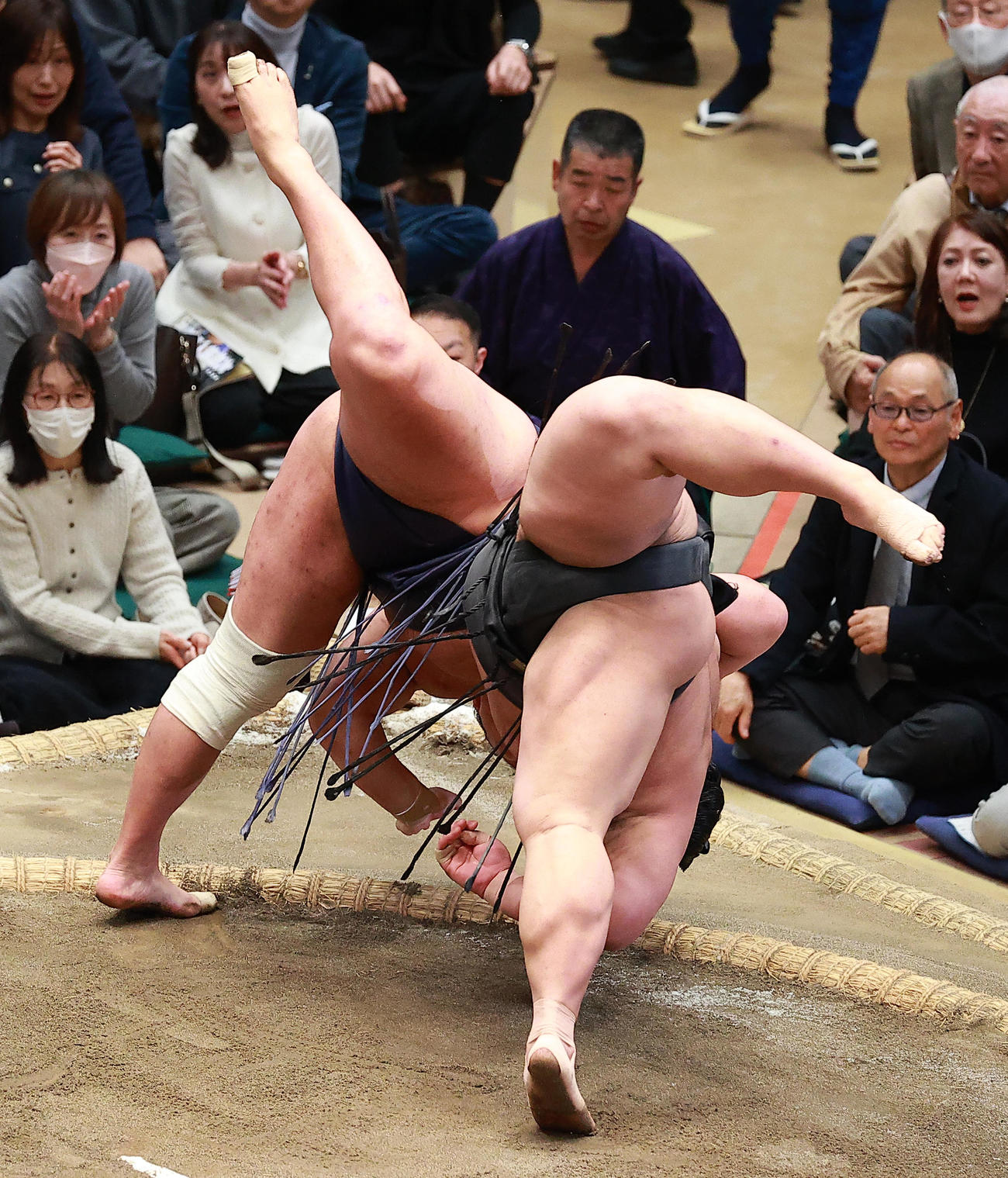 豊昇龍（左）と伯乃富士が同体（撮影・中島郁夫）