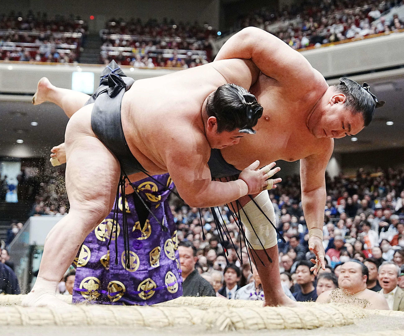 豊昇龍と伯乃富士（左）の一番は物言いが付き同体で取り直しとなる（撮影・小沢裕）