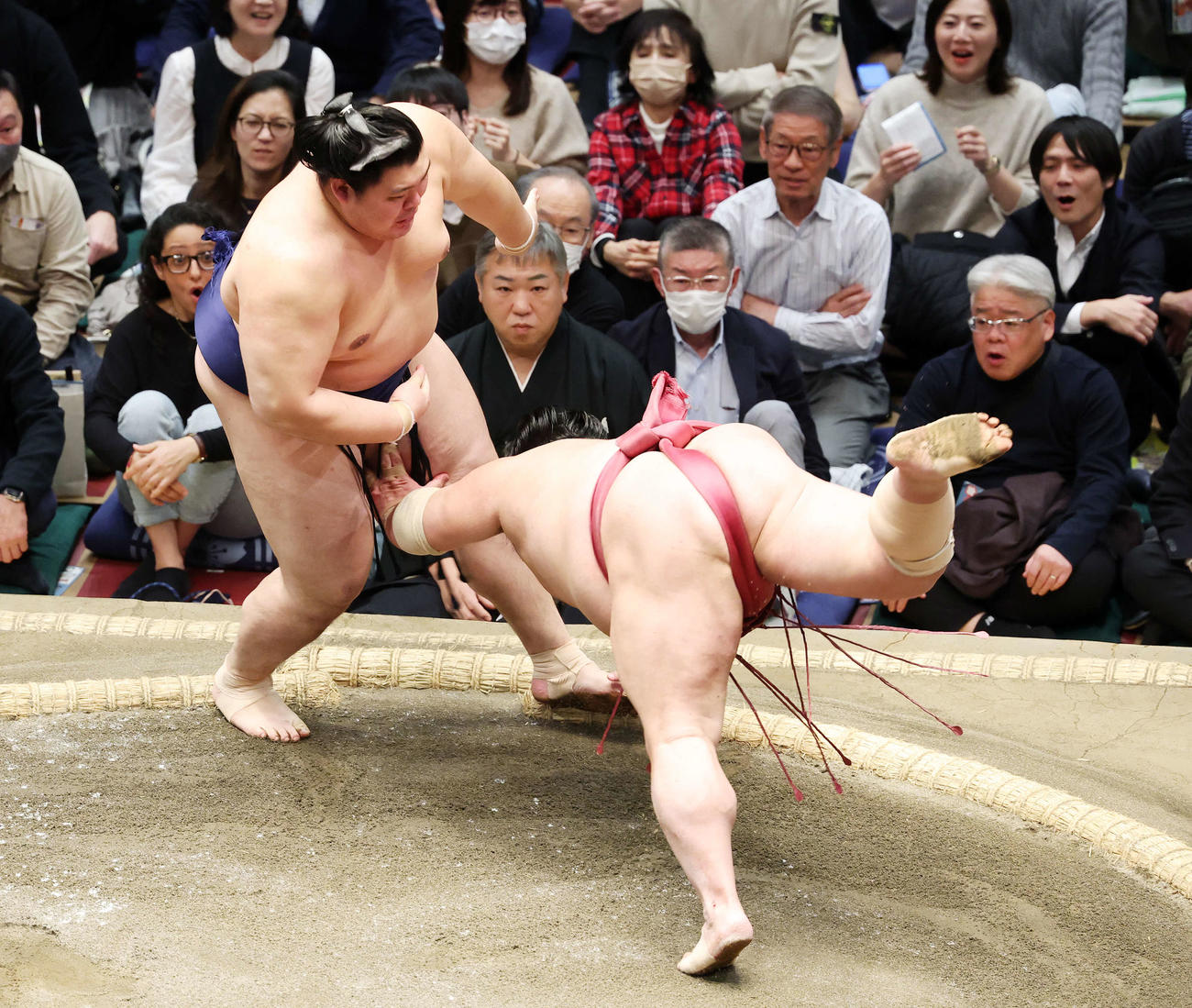 大栄翔（右）をはたき込みで破る大の里（撮影・鈴木正人）