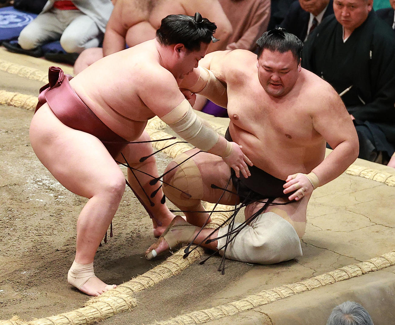 朝乃山（右）を寄り倒しで破る錦富士（撮影・中島郁夫）