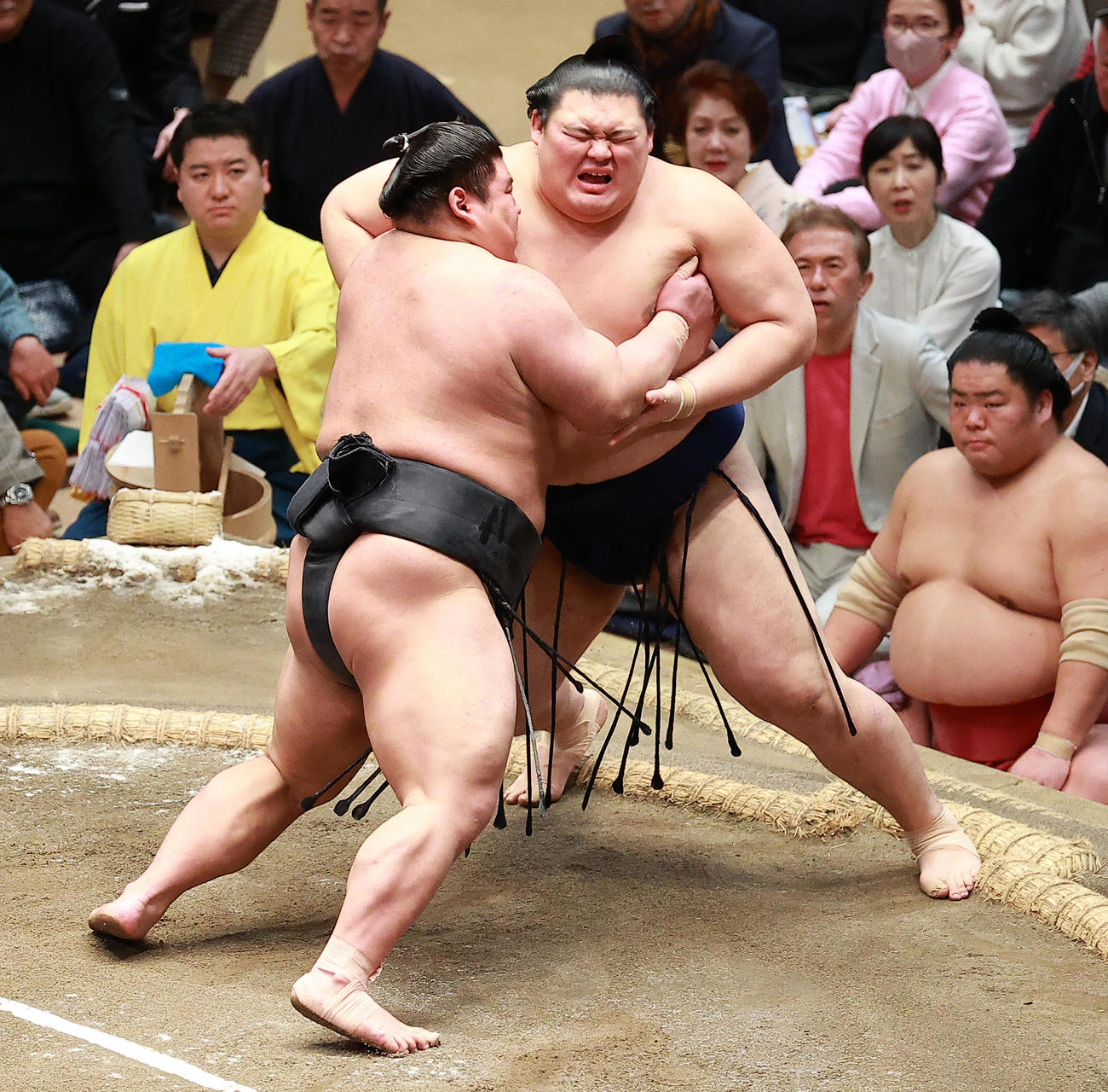 伯乃富士（左）の寄りに苦しそうな表情を見せる大の里（撮影・中島郁夫）